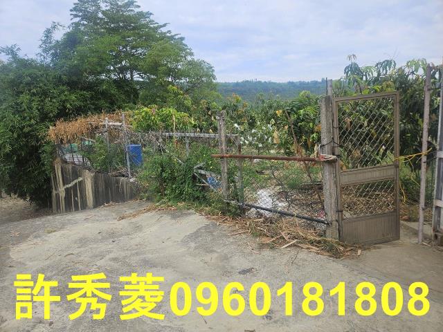 高雄田寮農地-9