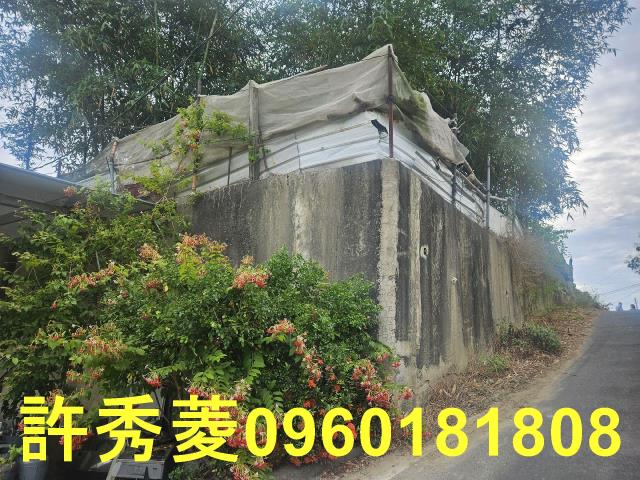高雄田寮農地-10