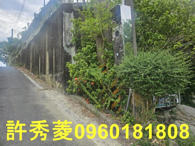 高雄田寮農地-11