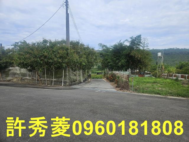 高雄田寮農地-12