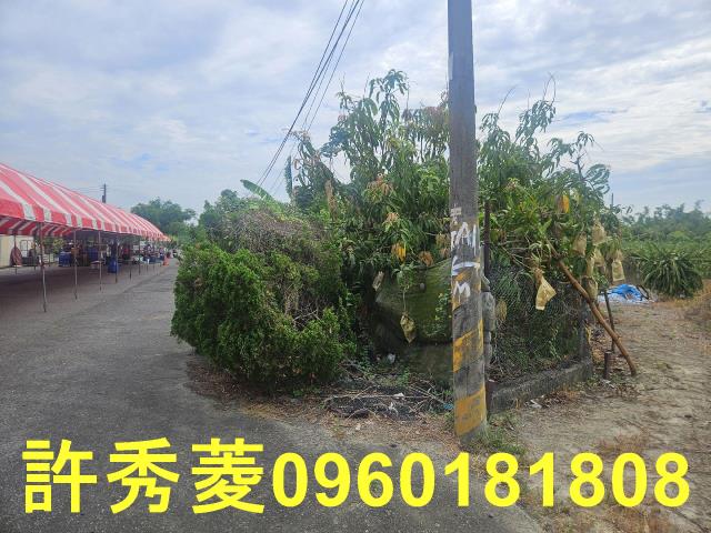 高雄田寮農地-6