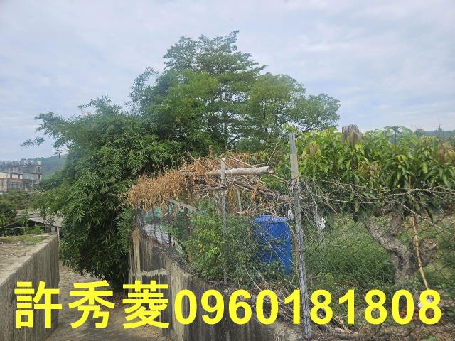 高雄田寮農地-7