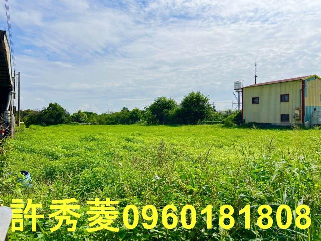 高雄路竹農地-10
