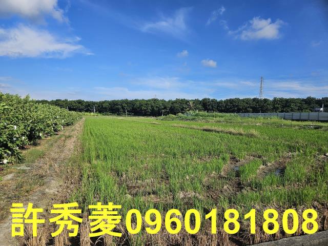 高雄岡山農地-9