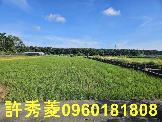 高雄岡山農地-11