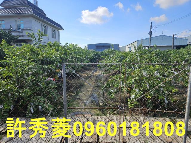 高雄岡山農地-2