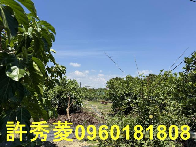 高雄燕巢農地-5