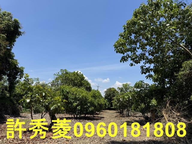 高雄燕巢農地-7