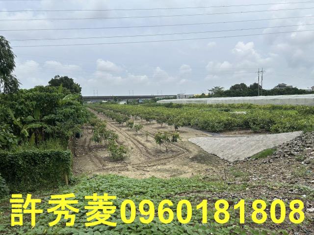 高雄岡山農地-9