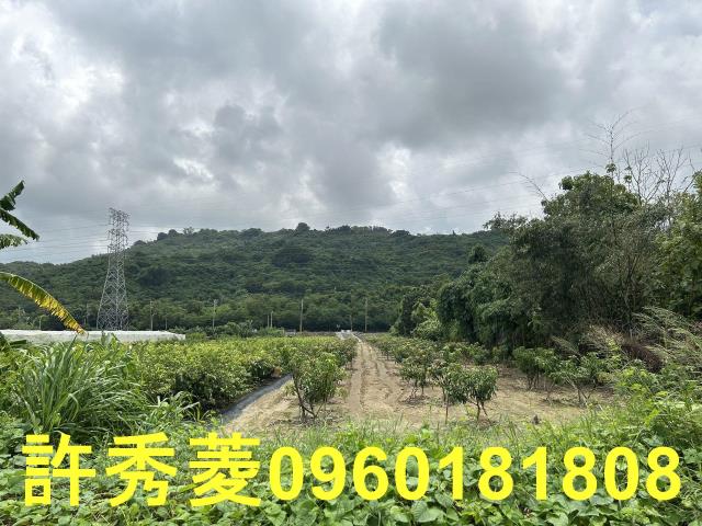 高雄岡山農地-10