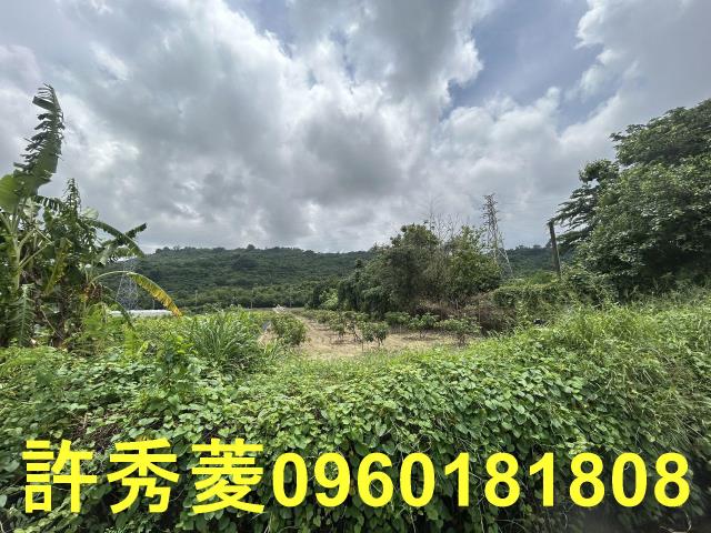 高雄岡山農地-11