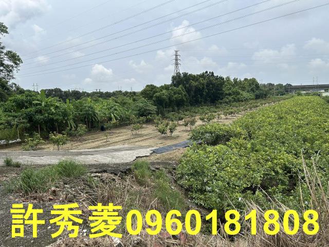 高雄岡山農地-5