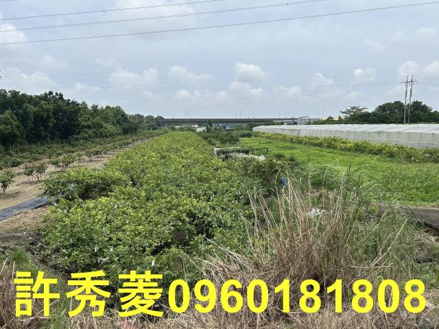 高雄岡山農地-7