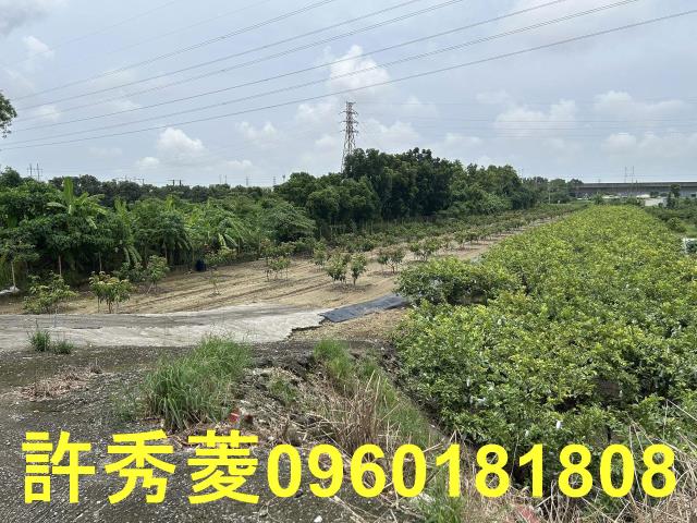 高雄岡山農地-8