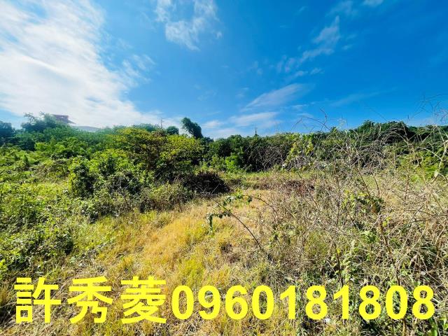 高雄燕巢農地-9