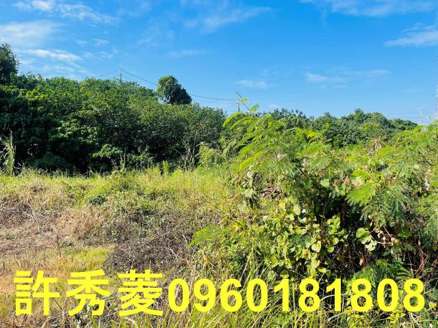 高雄燕巢農地-10