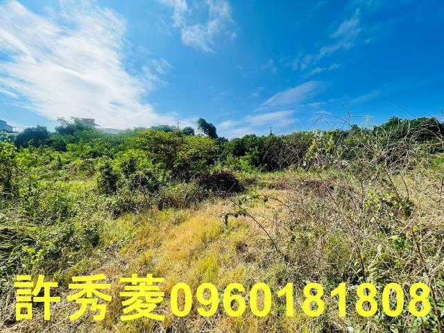 高雄燕巢農地-11