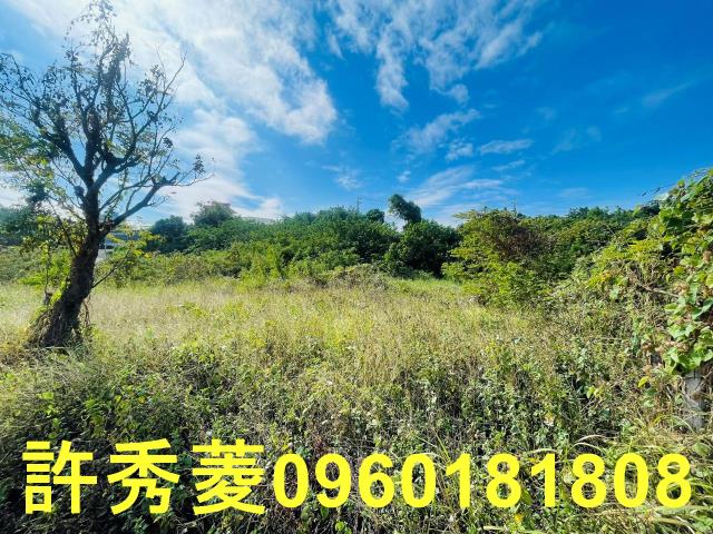 高雄燕巢農地-13