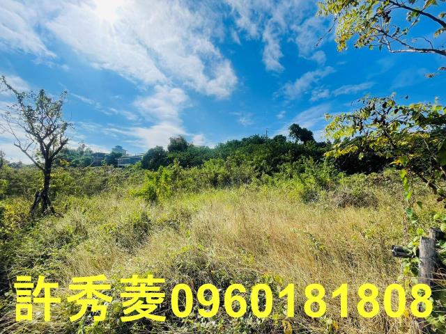 高雄燕巢農地-1