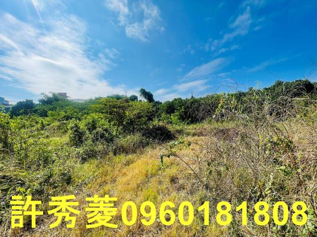 高雄燕巢農地-5
