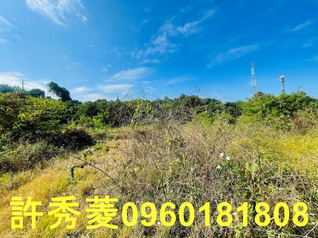 高雄燕巢農地-7