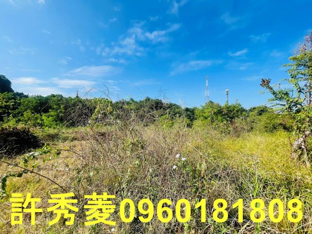 高雄燕巢農地-8