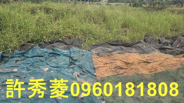 岡山農地-6