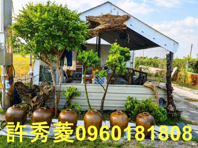 高雄梓官農地-0